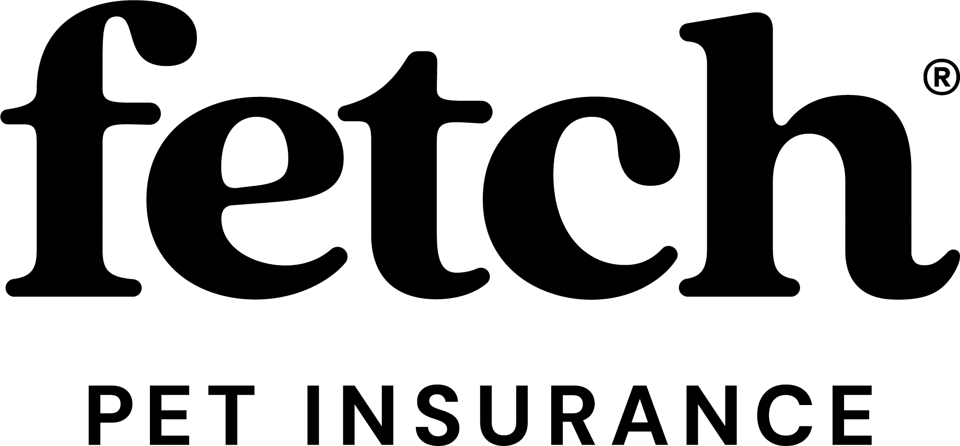 Fetch-Logo-Primary-RGB-Black-(1).png